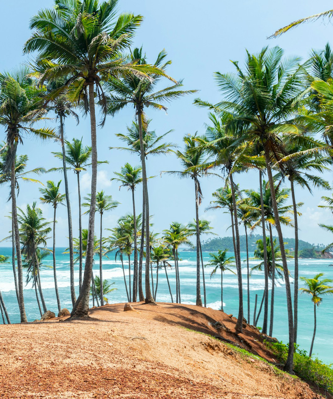 Sri Lanka at Its Best